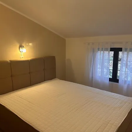 Aloha Apartment